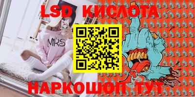 гидра Ставрополь