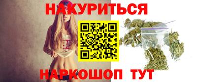 гидра Ставрополь
