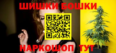 гидра Ставрополь