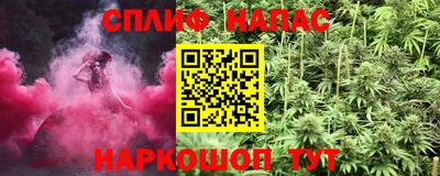 гидра Ставрополь