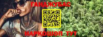 гидра Ставрополь