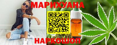 гидра Ставрополь