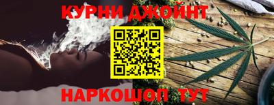 гидра Ставрополь