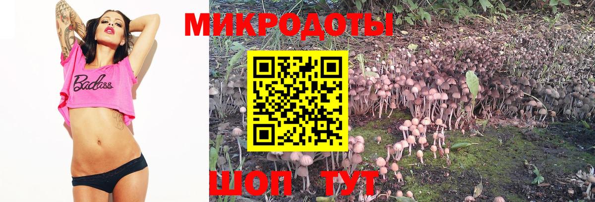 Белово  Псилоцибиновые грибы мицелий  Вход с VPN 